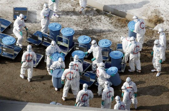 जापानको मियाजाकीमा बर्डफ्लुको आशंकामा एकै दिन एक लाख ६८ हजार कुखुरा नष्ट