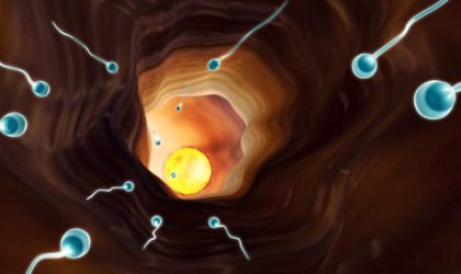जापानमा विदेशी वीर्यको प्रयोग बढ्यो, महिला प्रयोगकर्ता धेरै