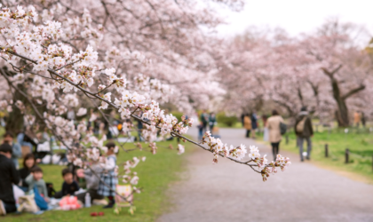 टोकियोमा साकुरा फुल्ने मौसम १८ मार्चपछि