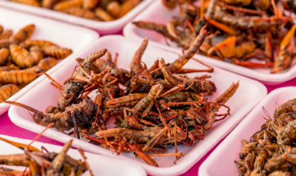 जापानमा किराको स्वादिष्ट परिकार पाक्ने रेस्टुरेन्ट