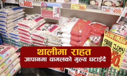 थालीमा राहत: चामल सस्तो बनाउन सरकारको आक्रमक योजना, ५ किलोको २ हजार येनसम्म झार्ने लक्ष्य !