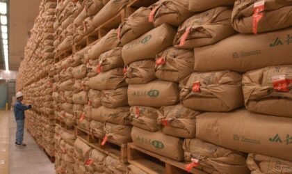 सरकारी संचित चामल बिक्री: लाभ नलिई ५ किलो चामल २ हजार येनमै