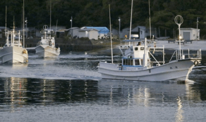 पश्चिम जापानमा डल्फिन ‘ड्राइभ हन्ट’ सुरु