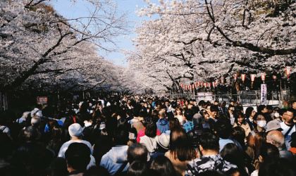 जापानमा भिसा शुल्क, नवीकरण र स्थायी बसोबास आवेदन शुल्क बढ्ने